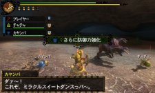 Monster Hunter Tri G 30