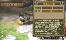 Monster Hunter Tri G 16