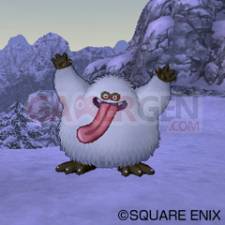 Dragon Quest X 45