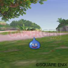 Dragon Quest X 42