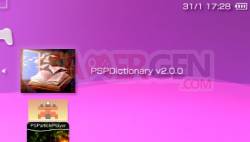 PSP_DICTIONNARY 2002