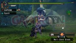 monster hunter unite (4)