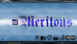 Meritous-3