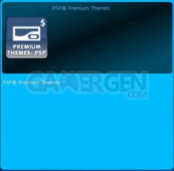 Playstation Store 1