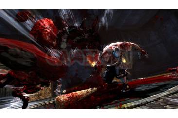 Splatterhouse_2010_03-25-10_08