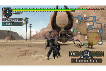 monster-hunter-freedom-unite-demo 20090524161550_0