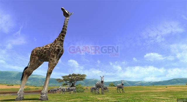 afrika8