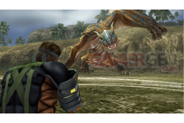 Metal-Gear-Solid-Peace-Walker-niveau-bonus-Monster-Hunter-wyverns-felyne046