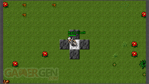 tibia-14
