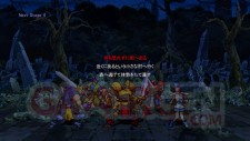 Guardian of Heroes- Screenshots 03
