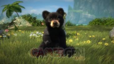 Kinectimals now with bears  (9)
