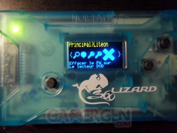 Flash Lizard - Lizard 14