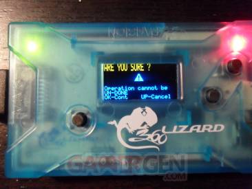 Flash Lizard - Lizard 15