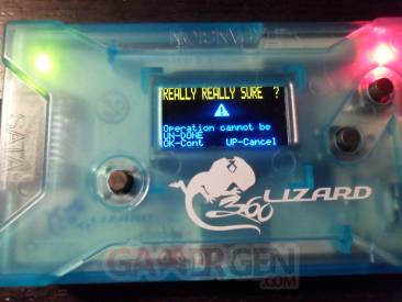 Flash Lizard - Lizard 16