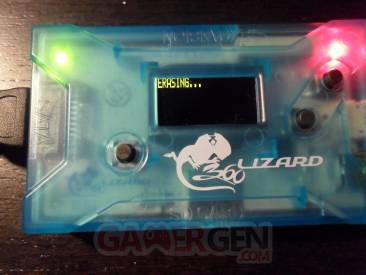 Flash Lizard - Lizard 17