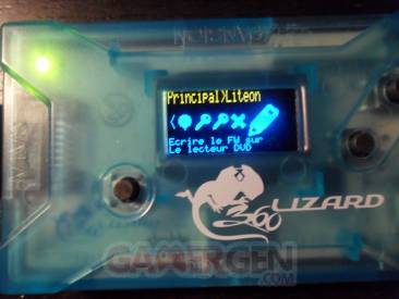 Flash Lizard - Lizard 21