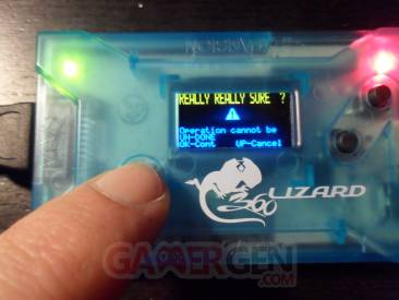 Flash Lizard - Lizard 23