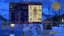 Final-Fantasy-XIV-alpha-28