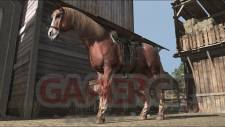 Red-Dead-Redemption_14