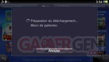 Tuto PlayStation Store jeu demo utilitaire (13)