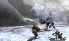 Monster-Hunter-Tri-G_2011_11-30-11_018
