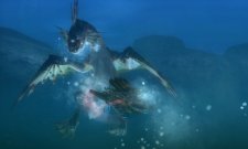 Monster-Hunter-Tri-G_2011_11-30-11_026