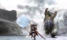 Monster-Hunter-Tri-G_2011_11-30-11_028