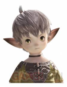 Final-Fantasy-XIV-tribus-10