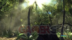 crysis-example2