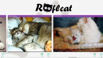 RoflCat (1)