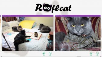 RoflCat (2)