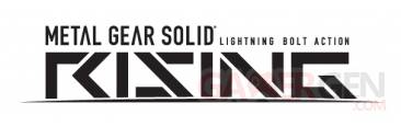 raiden-metal-gear-rising1