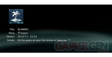 TIGER WOODS PGA TOUR 11 TROPHEES masques caches ARGENT    1