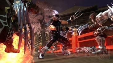 ninja-gaiden-2-huge31