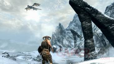 The-Elder-Scrolls-V-Skyrim_12022011-screenshot (11)