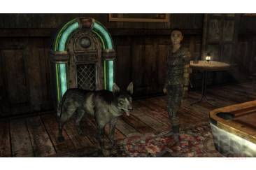 falloutNV15