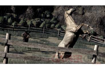 Red-Dead-Redemption_13