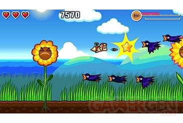 Flying-Hamster-le-minis-ou-les-hamster-ce-rebelle032
