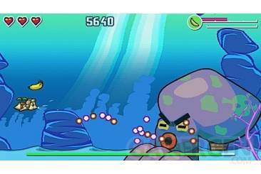 Flying-Hamster-le-minis-ou-les-hamster-ce-rebelle006