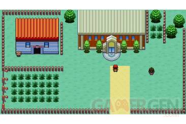 PSPokemon 015