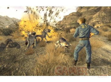 falloutNV8