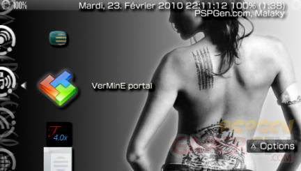 VerminePortal (6)