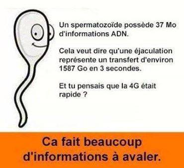 4G troll de la semaine