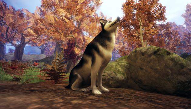 730543Nouvelle_image_Bitmggap__2_