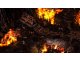 age-of-mythology-extended-edition- (8)