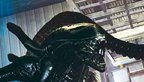 aliens colonial marines head vignette 11122012 002