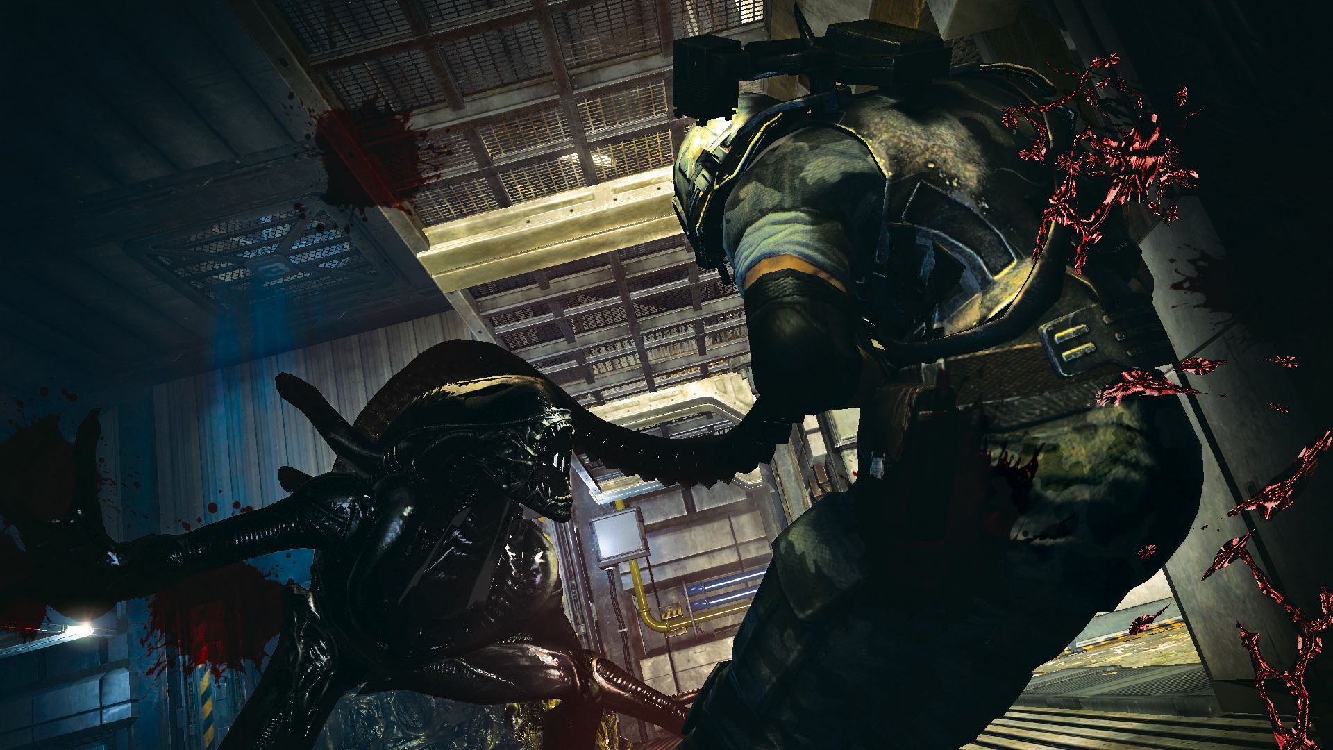 aliens colonial marines screenshot 11122012 005