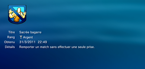 All W Stars - Trophees - ARGENT -  4