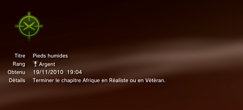 APACHE AIR ASSAULT trophees PS3 ARGENT    2