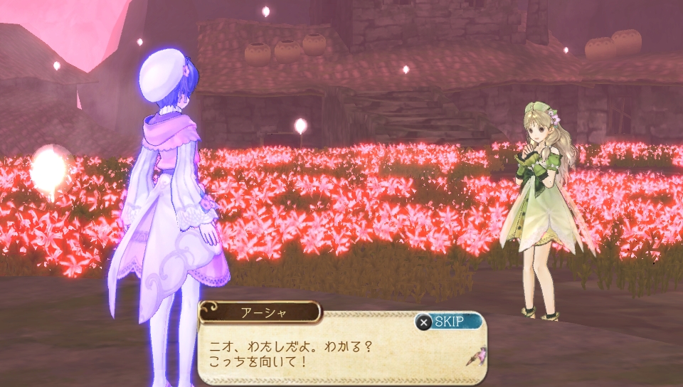 Atelier Ayesha Plus 03.01.2014  (12)